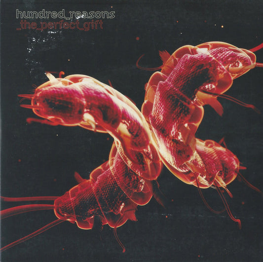 Hundred Reasons : The Perfect Gift (7", Single)