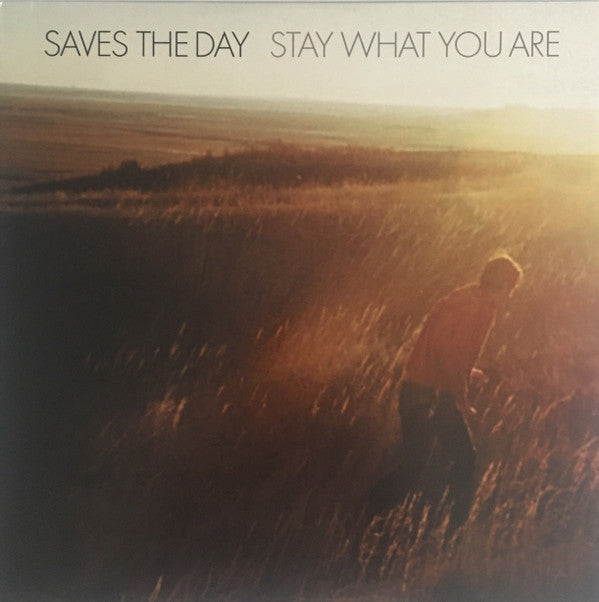 Saves The Day : Stay What You Are (LP, Album)