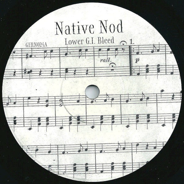 Native Nod : New Compositions And Arrangements For The Zither (7")