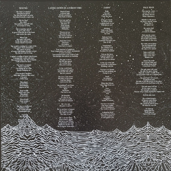 Body Void : Bury Me Beneath This Rotting Earth (LP, Album, Ltd, Mag)