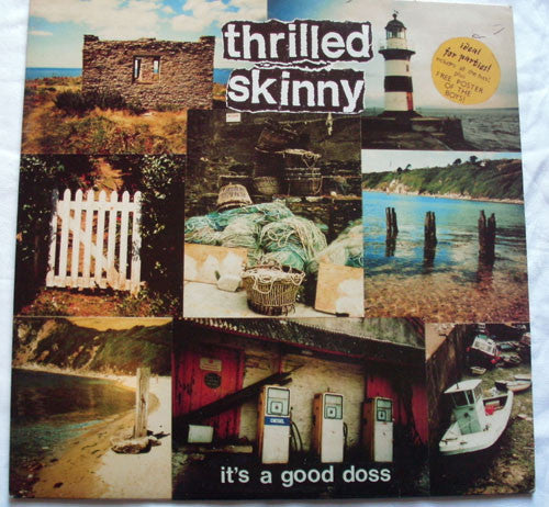 Thrilled Skinny : It's A Good Doss (LP, MiniAlbum)