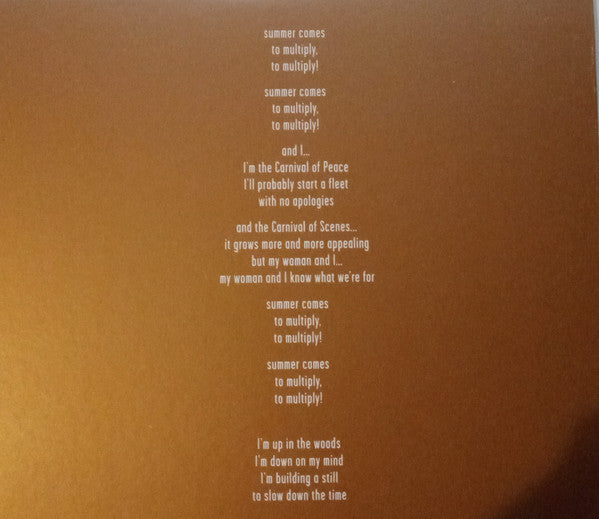 Bon Iver : Blood Bank (CD, EP)