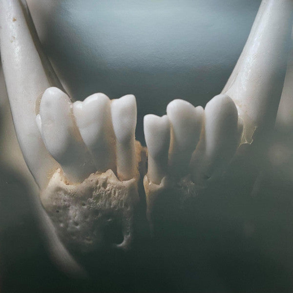 Wolves In The Throne Room : Primordial Arcana (LP, Album, Gol)