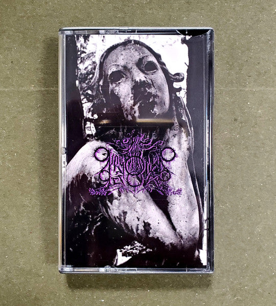 Onryo Over October : These Wounds Are My Cathedral (Cass, Ltd)