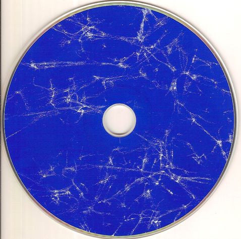 Homostupids : The Intern LP (CD, Album)