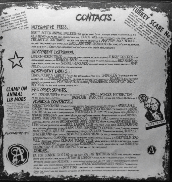 Conflict (2) : This Is Not Enough Stand Up And Fucking Fight (7", Single)