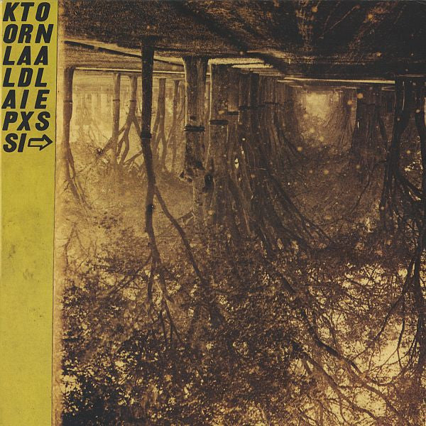 Thee Silver Mt. Zion Memorial Orchestra* : Kollaps Tradixionales (2x10", Album + CD, Album + Ltd)
