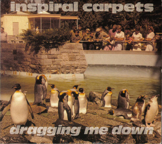 Inspiral Carpets : Dragging Me Down (CD, Single, Dig)