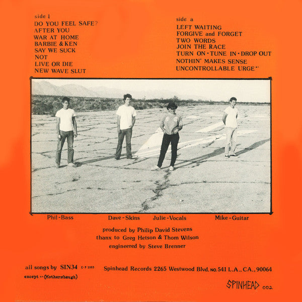 Sin34* : Do You Feel Safe? (LP, Album)