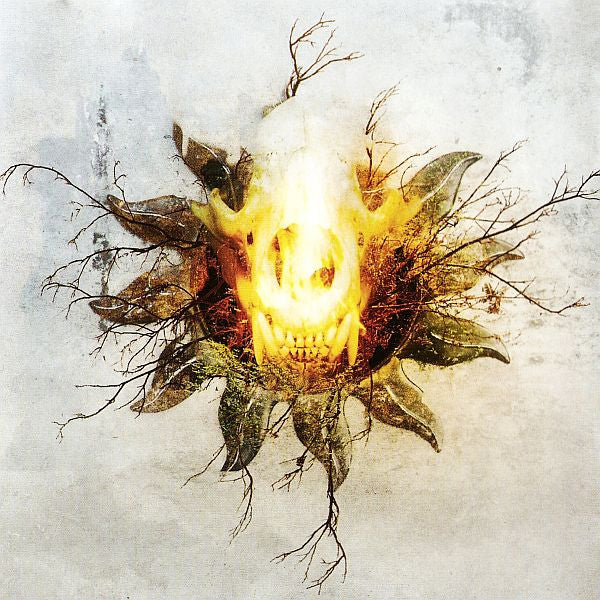 Amorphis : Skyforger (CD, Album)