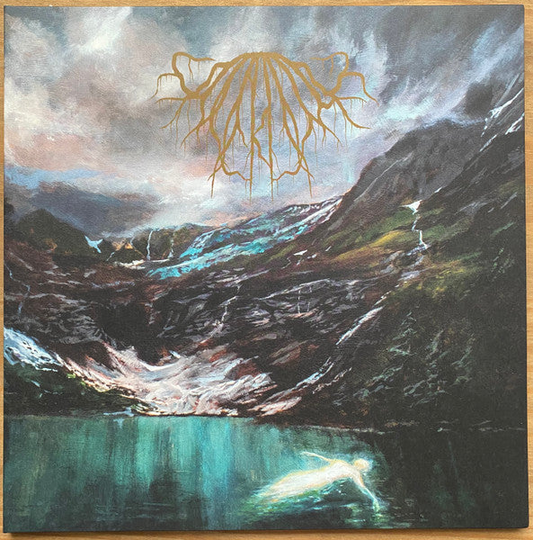 Underdark (5) : Our Bodies Burned Bright On Re-Entry (LP, Album, Pin)