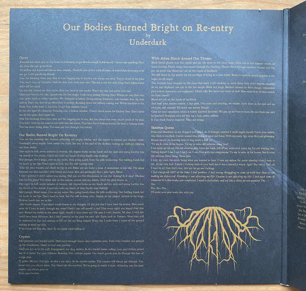 Underdark (5) : Our Bodies Burned Bright On Re-Entry (LP, Album, Pin)