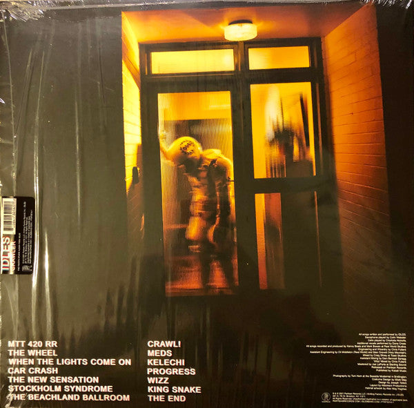 Idles : Crawler (LP, Album, Ste)
