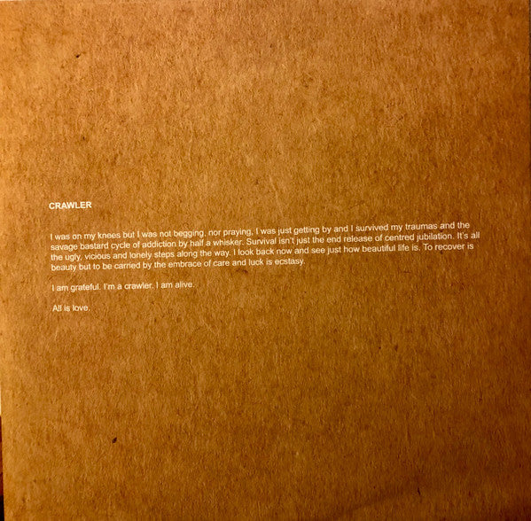 Idles : Crawler (LP, Album, Ste)