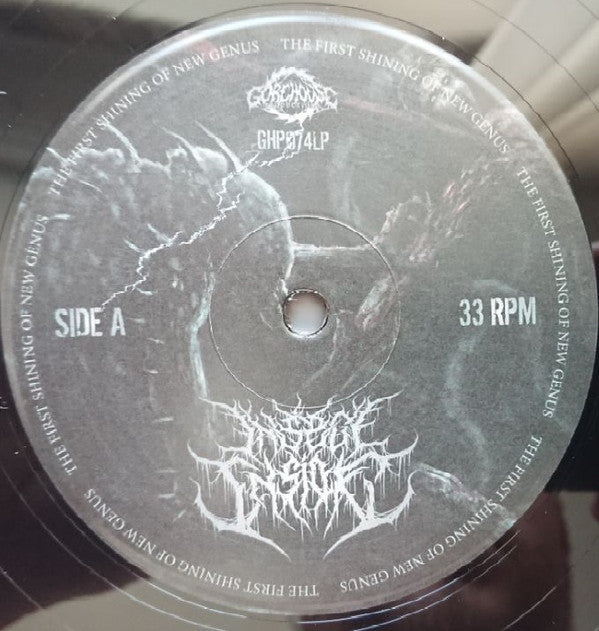 Insect Inside : The First Shining Of New Genus (LP, Album)