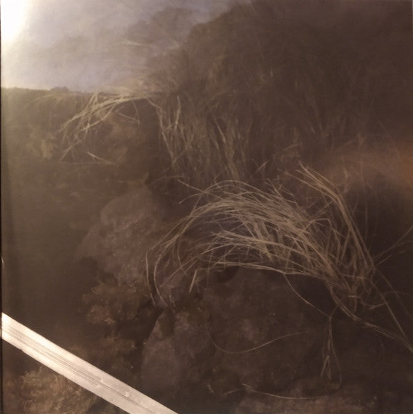 GGGOLDDD : This Shame Should Not Be Mine / Live At Roadburn Redux (2xLP, Album, Ltd, Pin)