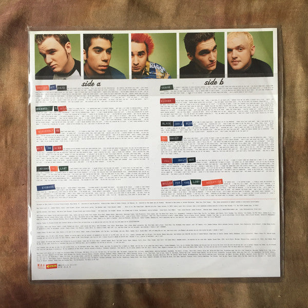 New Found Glory : New Found Glory (LP, Album, Num, Pic, Joy)