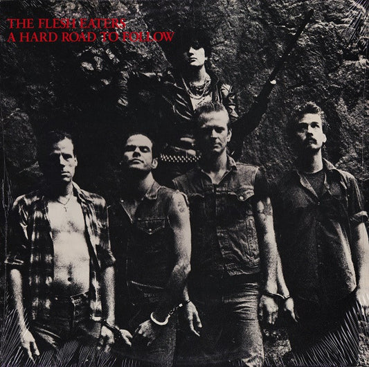 The Flesh Eaters : A Hard Road To Follow (LP, Album)