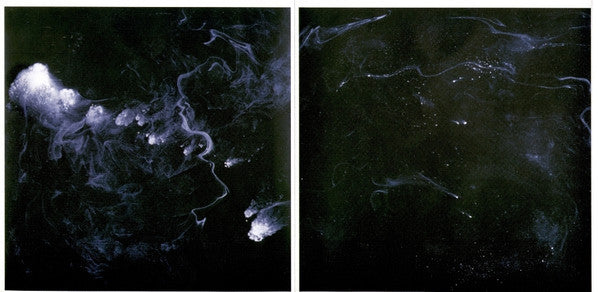 Swans : My Father Will Guide Me Up A Rope To The Sky (CD, Album)