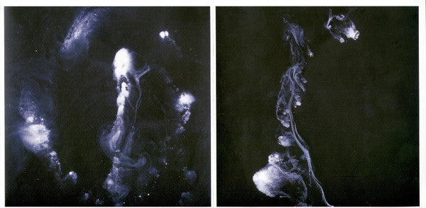 Swans : My Father Will Guide Me Up A Rope To The Sky (CD, Album)