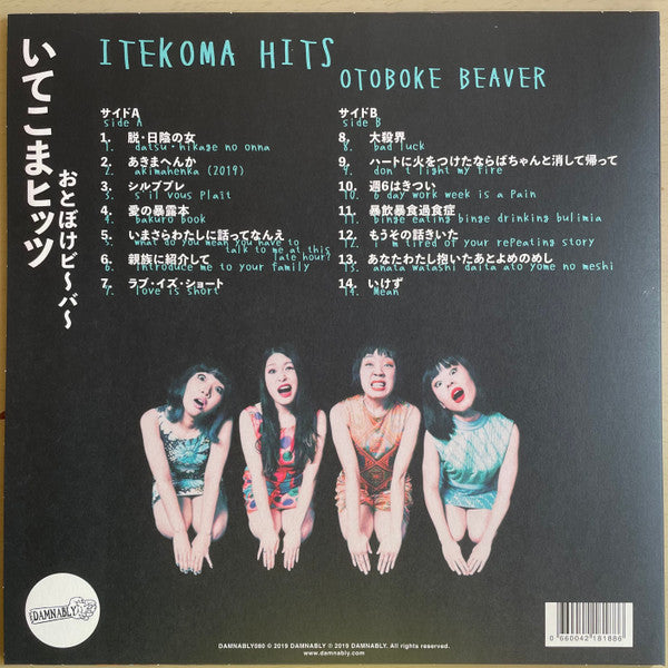 Otoboke Beaver = おとぼけビ～バ～* : Itekoma Hits いてこまヒッツ (LP, Album, Pin)