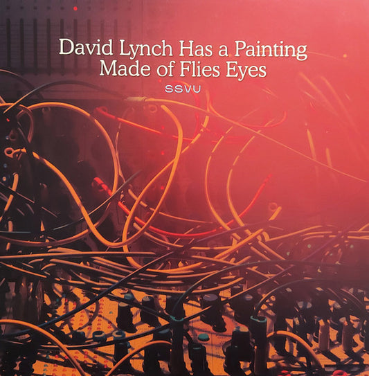 SSVU : David Lynch Has A Painting Made Of Flies Eyes / Suzanne Ciani (7", RSD, Single, Ltd)