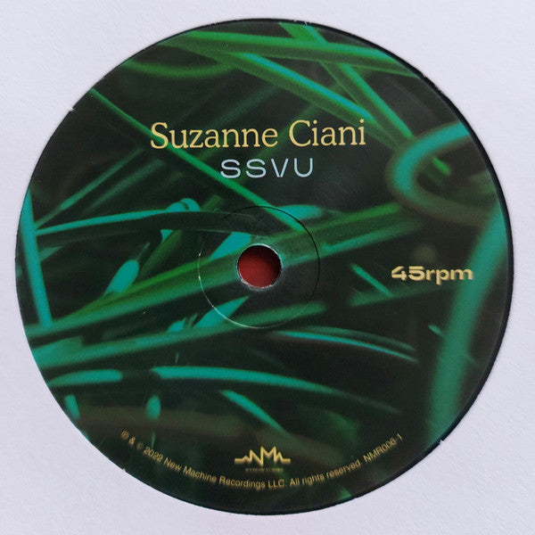 SSVU : David Lynch Has A Painting Made Of Flies Eyes / Suzanne Ciani (7", RSD, Single, Ltd)