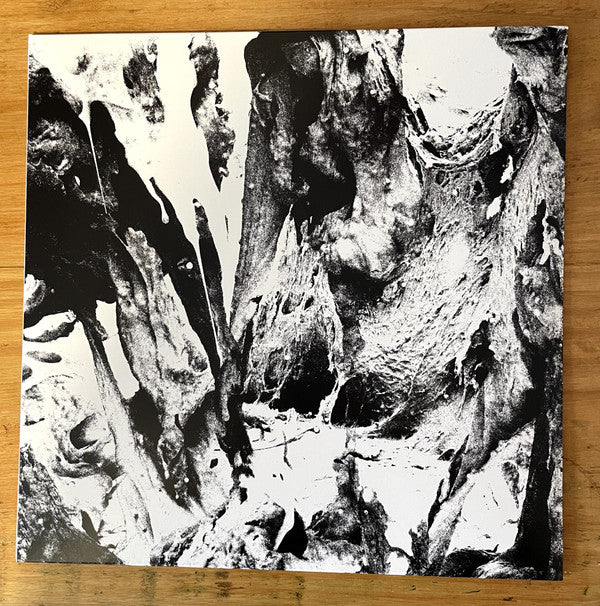 Other Half : Soft Action (LP, Album, Pin)