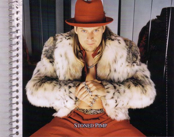 Kid Rock : The History Of Rock (CD, Comp)