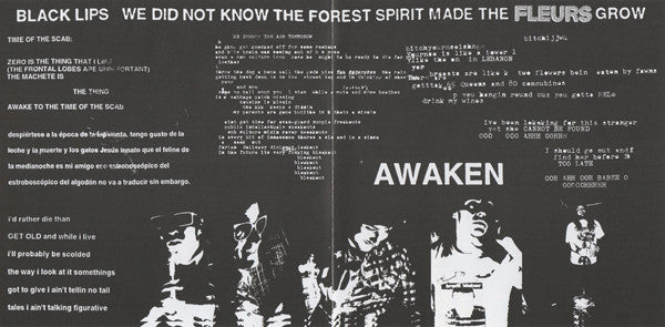 The Black Lips : We Did Not Know The Forest Spirit Made The Flowers Grow (CD, Album, Enh)