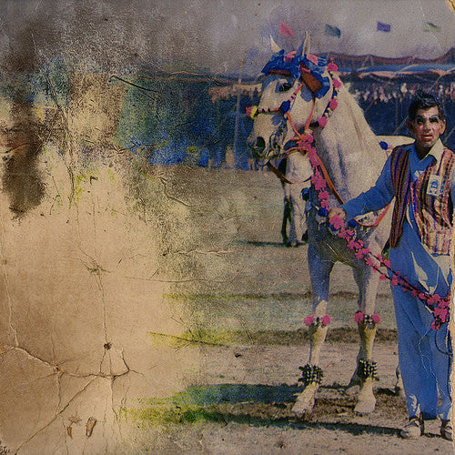 Kong (10) : Snake Magnet (CD, Album + DVD)