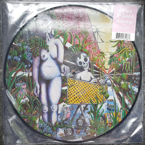 Indigo De Souza : Any shape you take (LP, Ltd, Pic)
