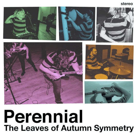 Perennial (3) : The Leaves Of Autumn Symmetry (7", EP)