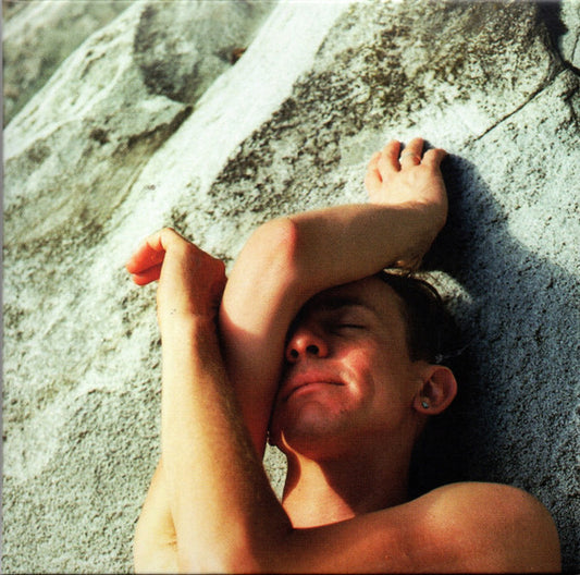 Buck Meek : Haunted Mountain (CD, Album)