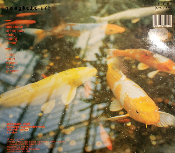 Mass (13) : Rushingfloodperfume (LP, Album)