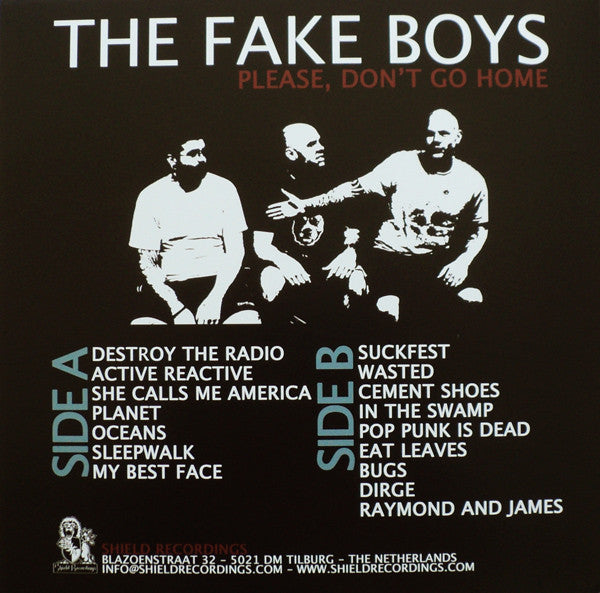 The Fake Boys : Please Don't Go Home (LP, Comp)