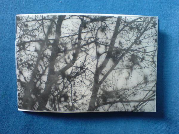 Wishes On A Plane : This Faint Line (10", EP, Ltd, Sec)
