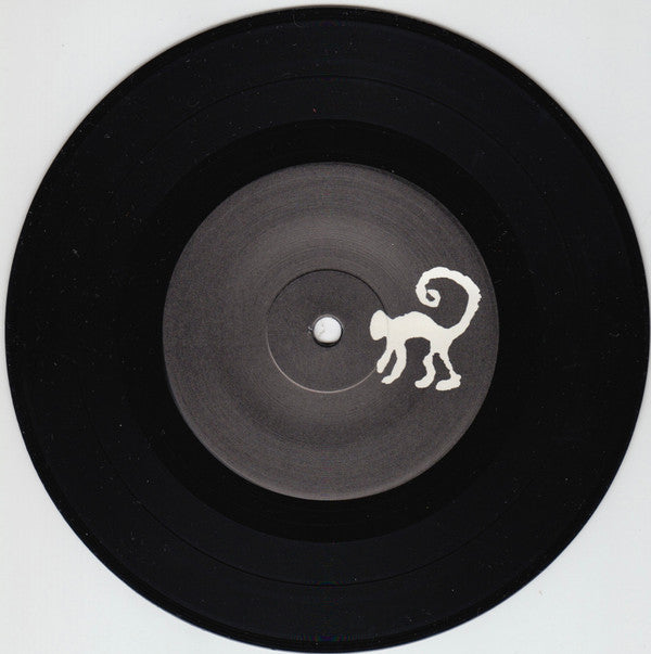 The Birds Are Spies, They Report To The Trees : The Single Series (7", Num)