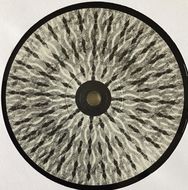 Crippled Black Phoenix : The Resurrectionists (2xLP, Album, RE, RM)