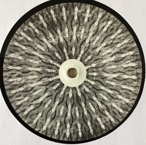 Crippled Black Phoenix : The Resurrectionists (2xLP, Album, RE, RM)