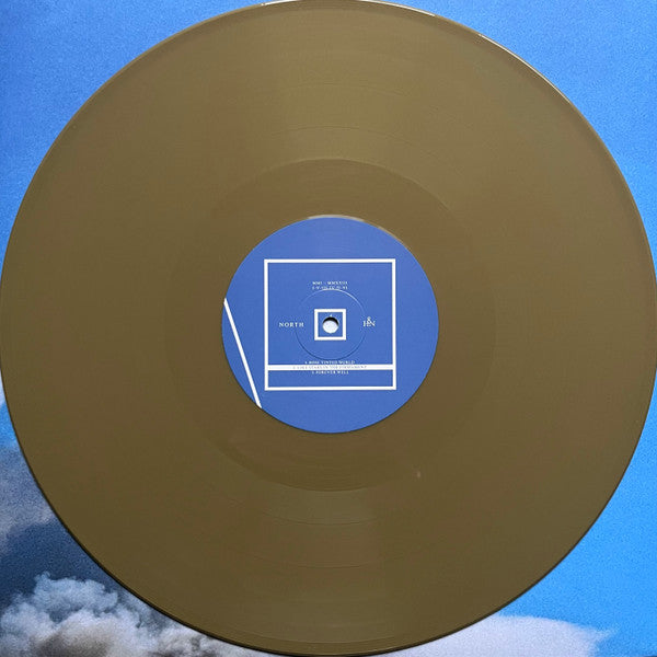 Full Of Hell And Nothing (12) : When No Birds Sang (LP, Album, Gol)