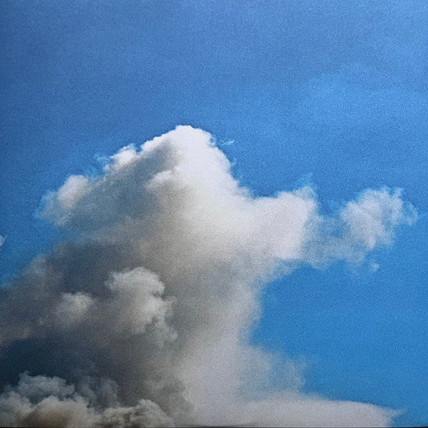 Full Of Hell And Nothing (12) : When No Birds Sang (LP, Album, Gol)