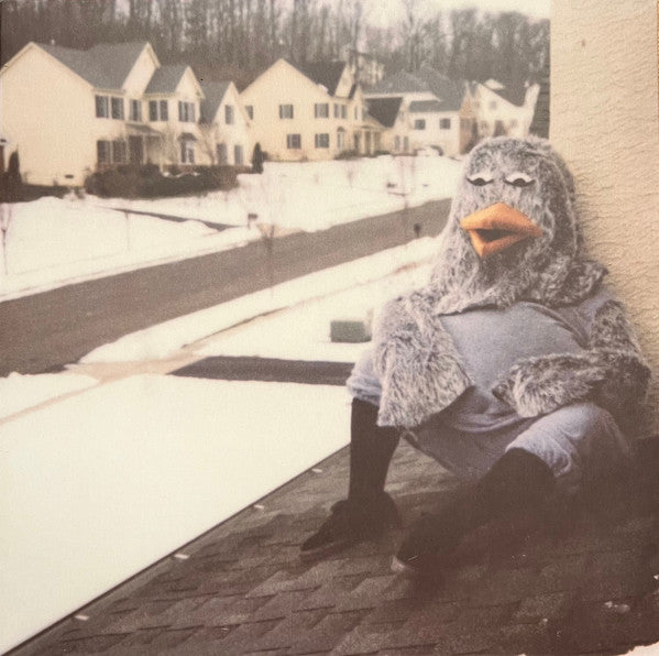 The Wonder Years : Suburbia I've Given You All And Now I'm Nothing (LP, Album, RE, Cle)
