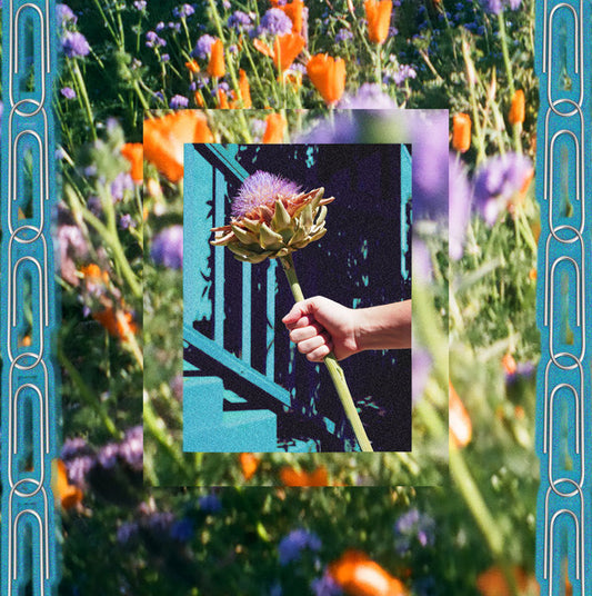 Rosie Tucker : Utopia Now! (LP, Album, Gra)