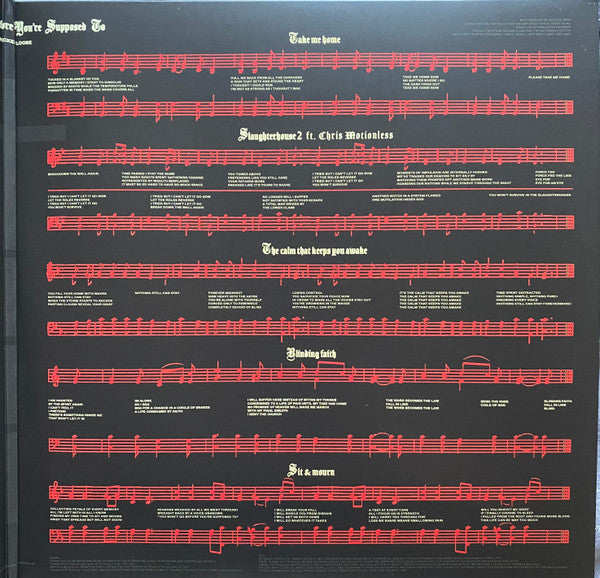 Knocked Loose : You Won't Go Before You're Supposed To (LP, Album, Ltd, Cle)