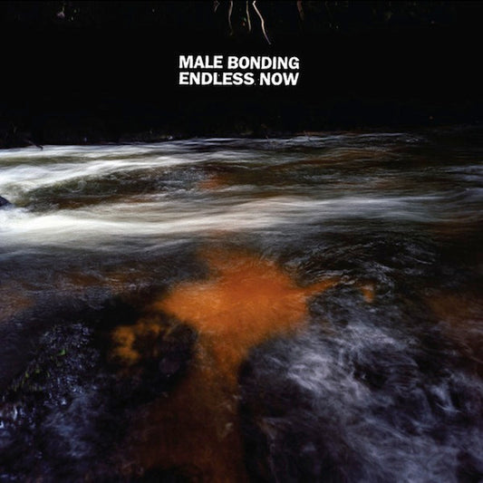 Male Bonding : Endless Now (CD, Album)