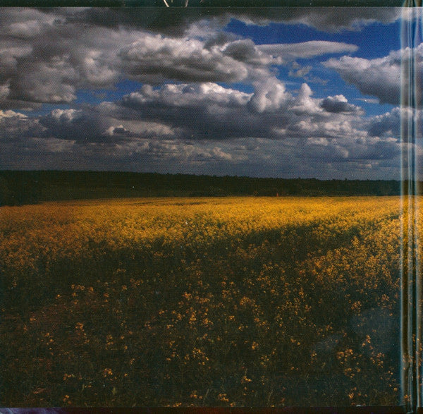 Male Bonding : Endless Now (CD, Album)