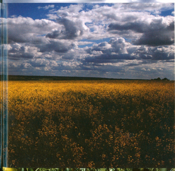 Male Bonding : Endless Now (CD, Album)