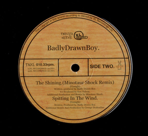 Badly Drawn Boy : Pissin In The Wind (10", Single)