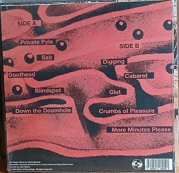 Nothingheads : The Art Of Sod (LP, Album, Ltd, Ash)